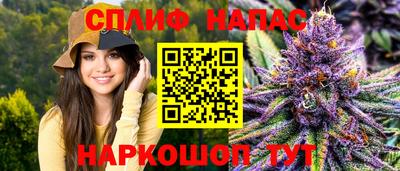 гидра Ярославль